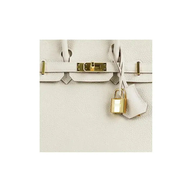 HERMES Birkin 25 Bag Milkshake White togo Leather Handbag (25,28)  gold hardware