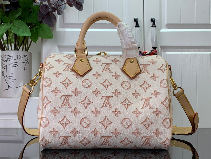Alice Bags- Louis Vuittons  - 16377