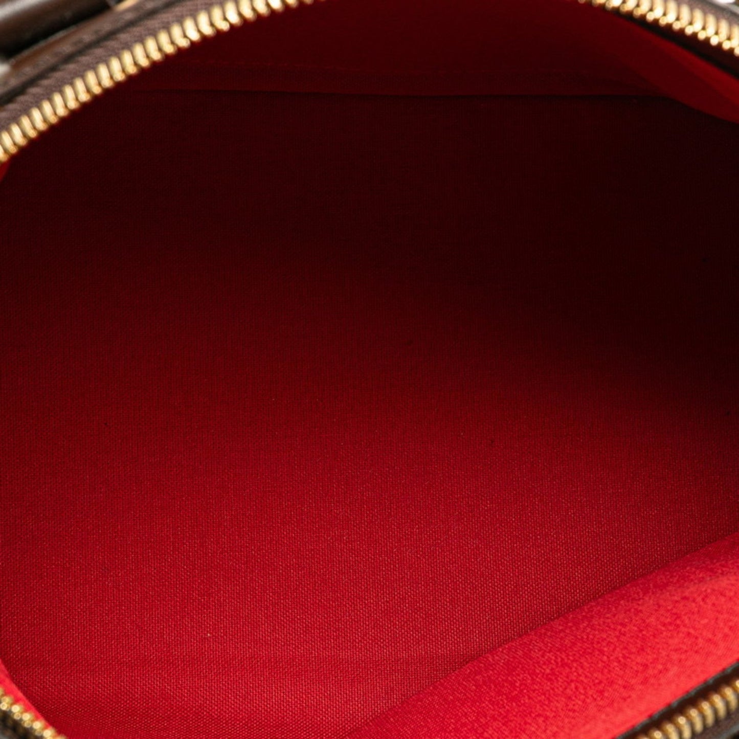 Louis Vuitton  Pvc Leather Handbag