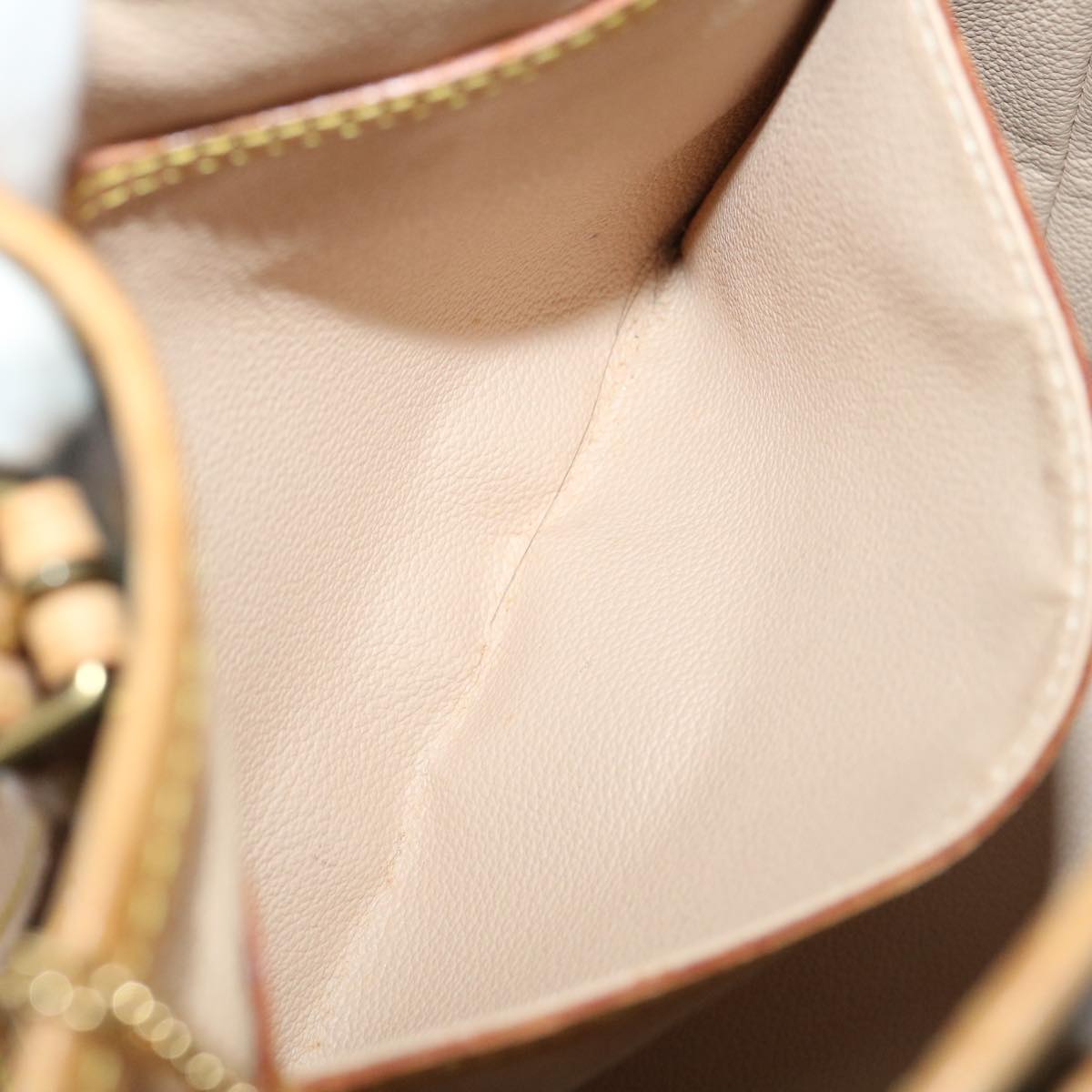 Louis Vuitton Bucket PM Shoulder Bag