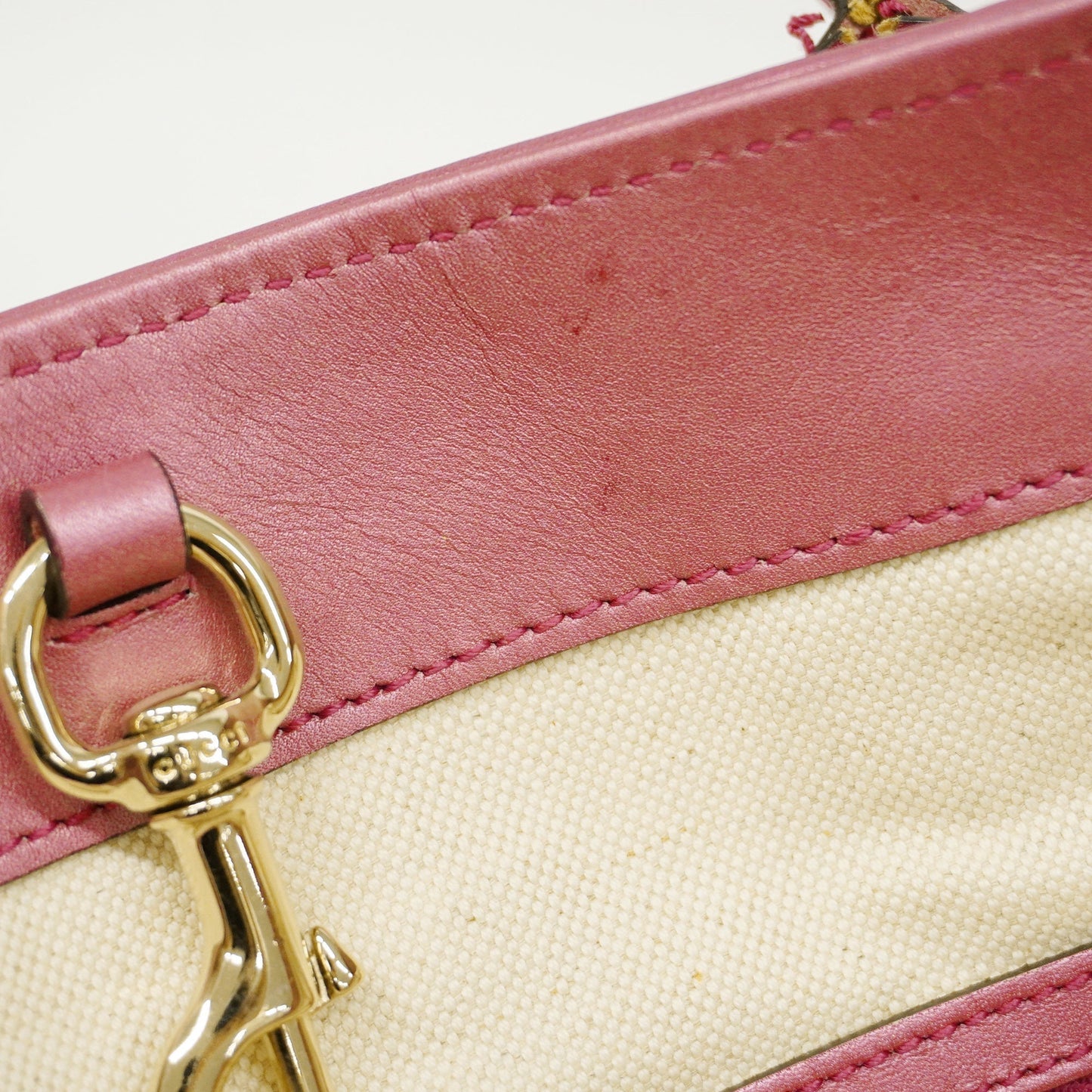 GUCCIAuth  GG Canvas Tote Bag 269956 Women's Tote Bag Beige,Pink