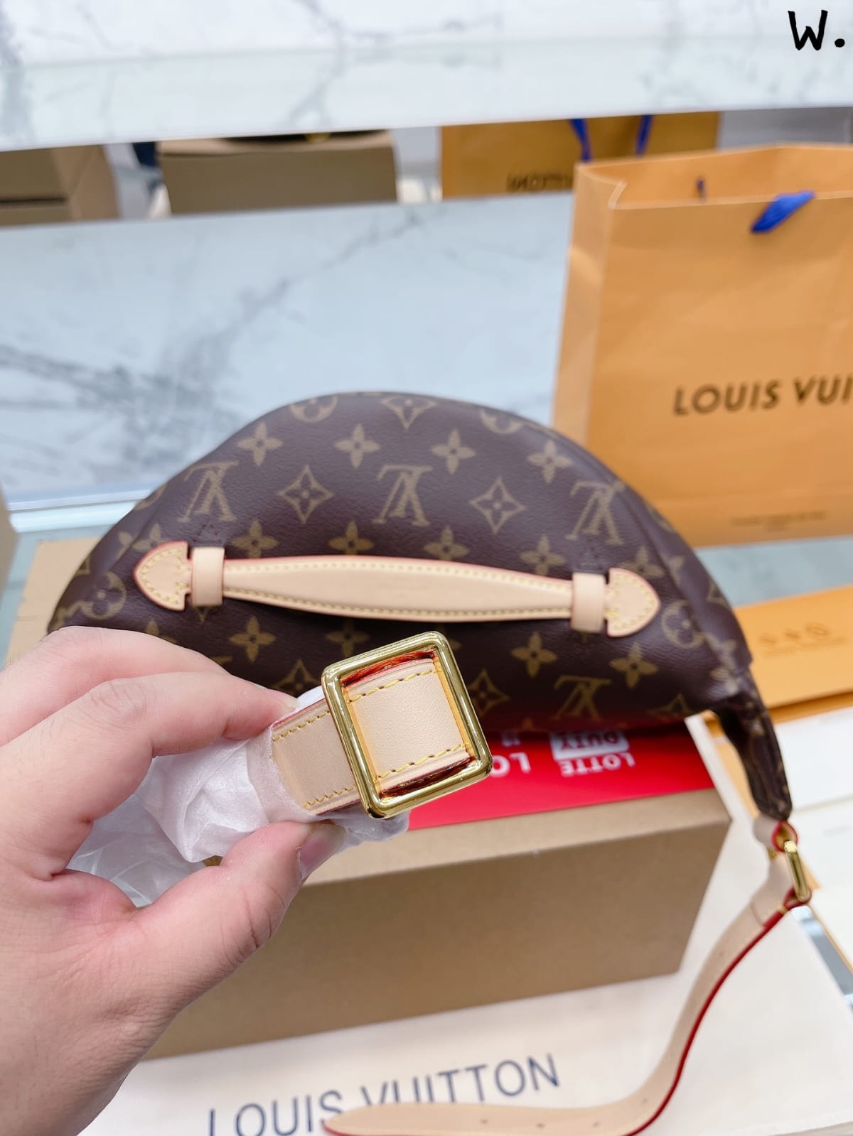 Louis Vuitton Bum Bag