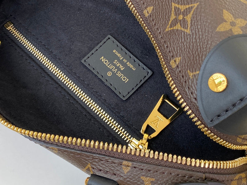 Alice Bags- Louis Vuittons  - 16366