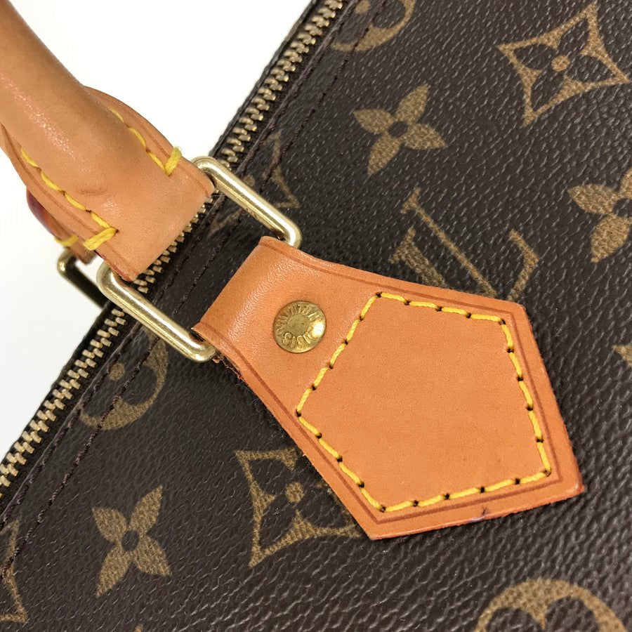 LOUIS VUITTON Handbag