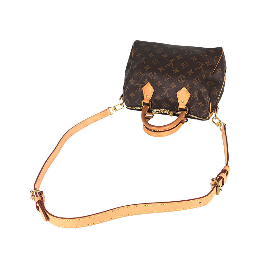 LOUIS VUITTON 2WAY Shoulder Handbag