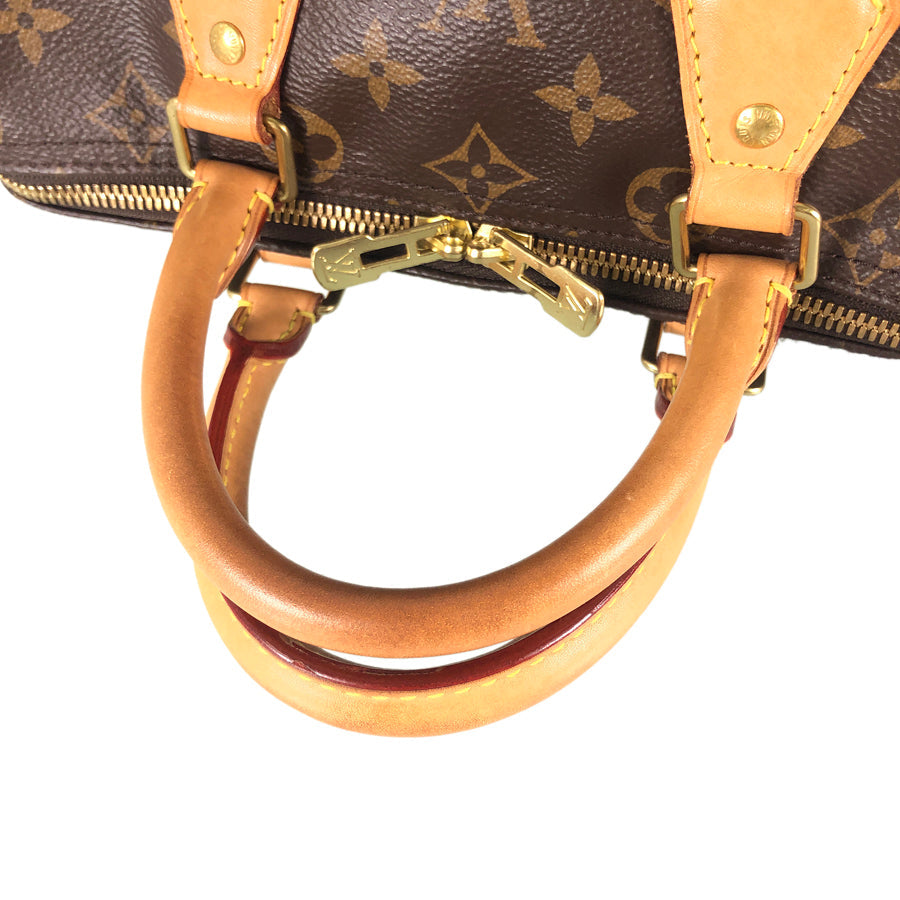 LOUIS VUITTON 2WAY Shoulder Handbag