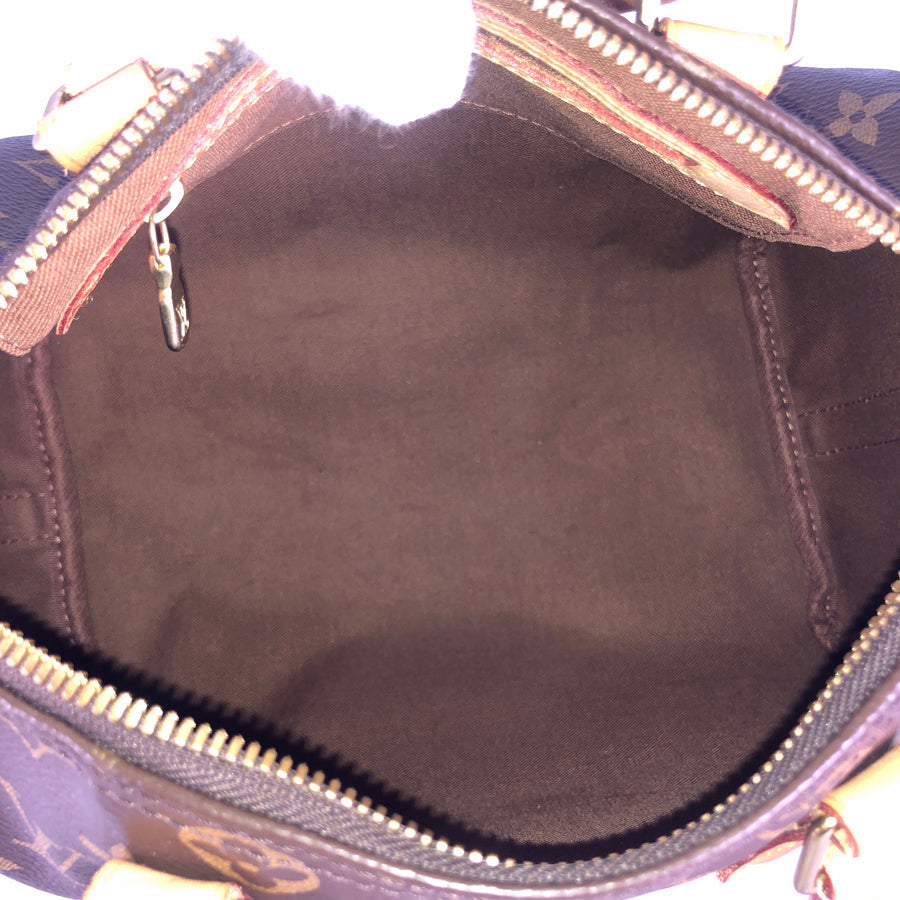 LOUIS VUITTON 2WAY Shoulder Handbag