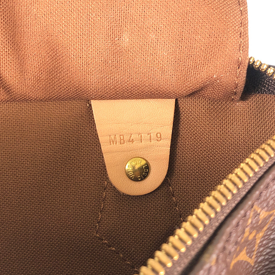 LOUIS VUITTON 2WAY Shoulder Handbag
