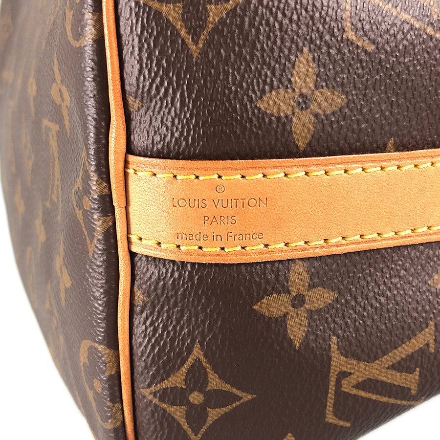 LOUIS VUITTON 2WAY Shoulder Handbag