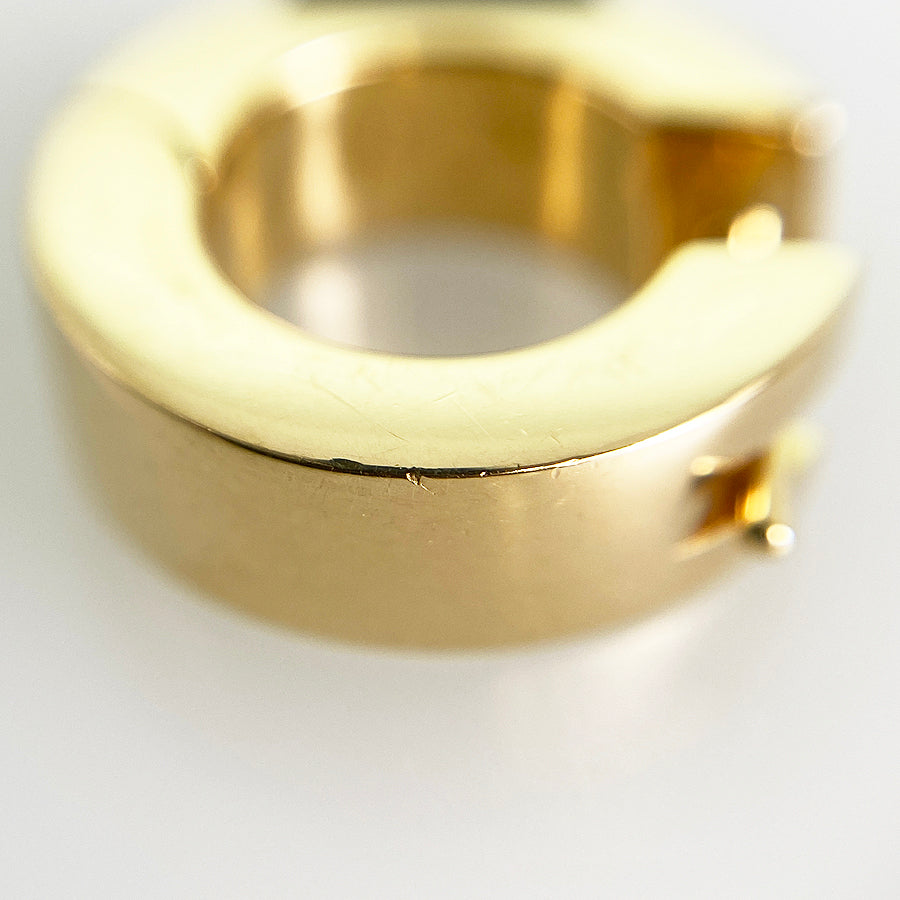 GUCCI Earring