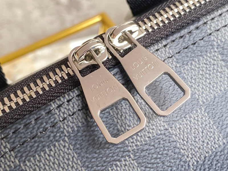 Alice Bags- Louis Vuittons  - 16524