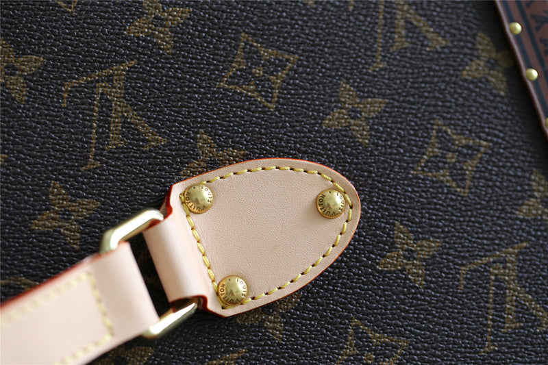 Alice bags - Louis Vuittons  - 9521