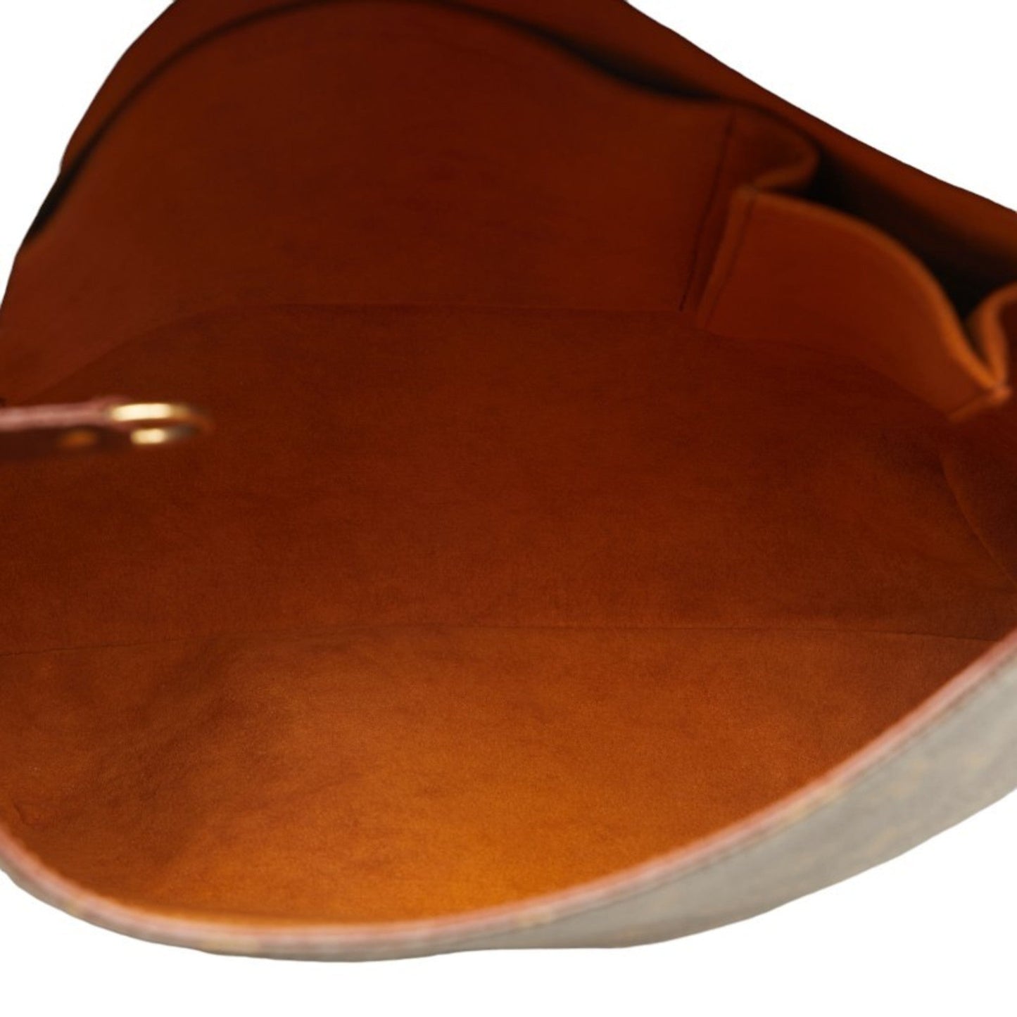 Louis Vuitton  Pvc Leather Shoulder Bag