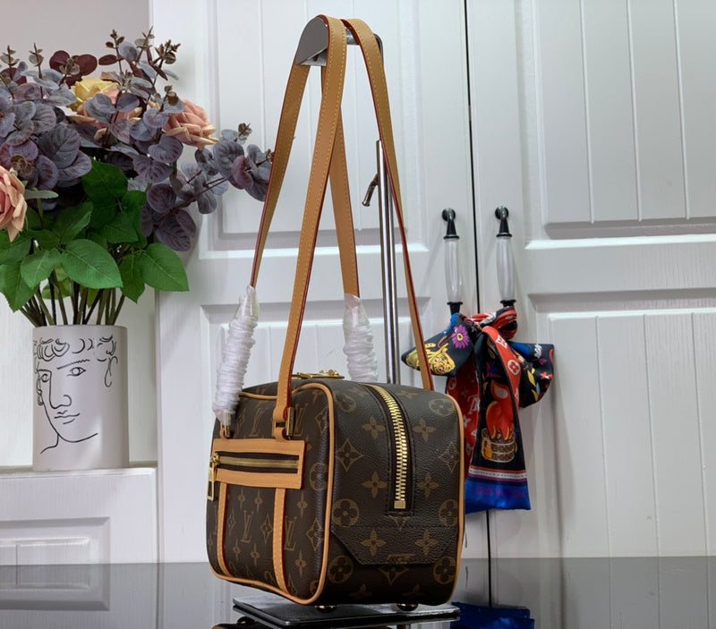 Alice Bags- Louis Vuittons  - 16373