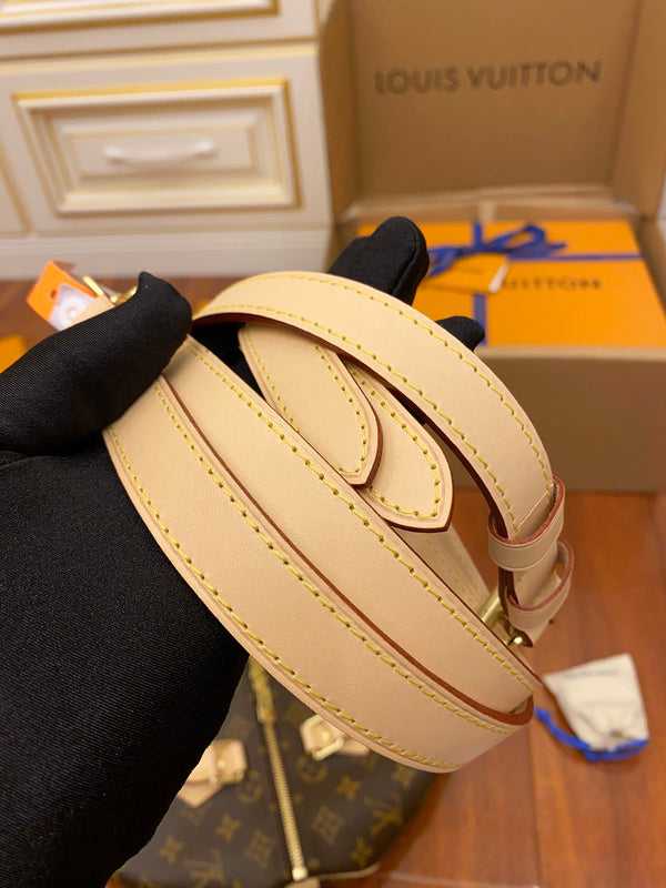 Alice Bags- Louis Vuittons  - 16195