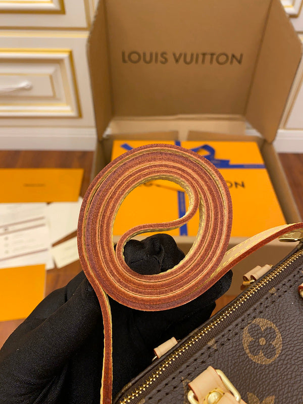 Alice Bags- Louis Vuittons  - 16199