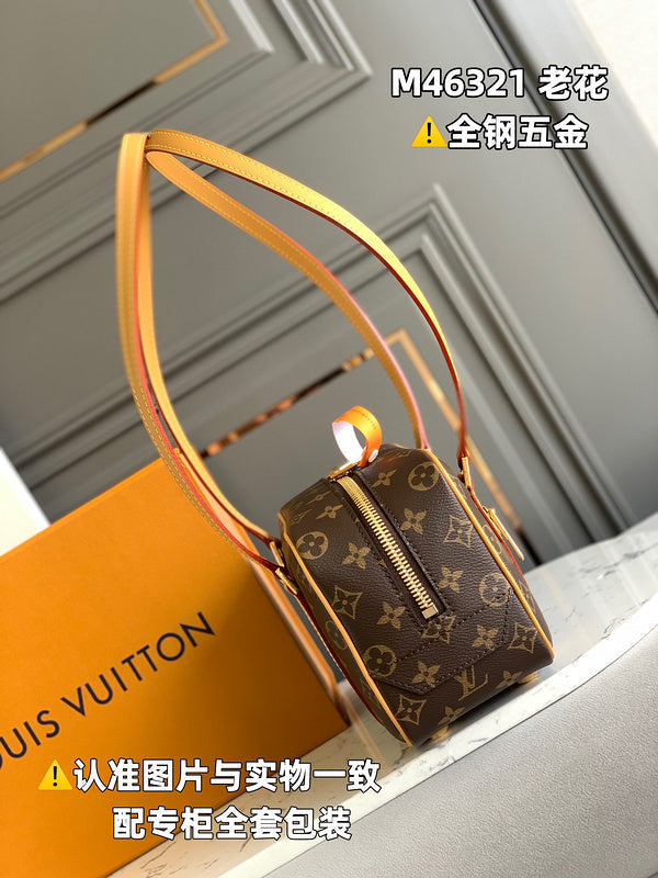 Alice  Bags- Louis Vuittons  - 15950