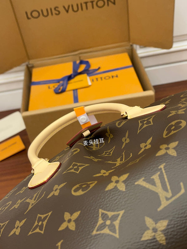 Alice Bags- Louis Vuittons  - 16389