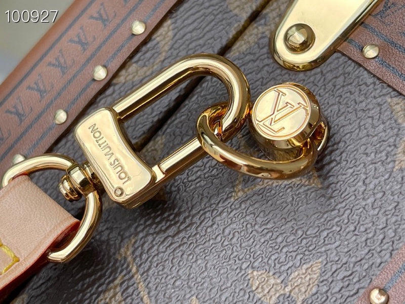 Alice Bags- Louis Vuittons  - 16512