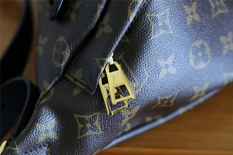 Alice bags - Louis Vuittons  - 10365