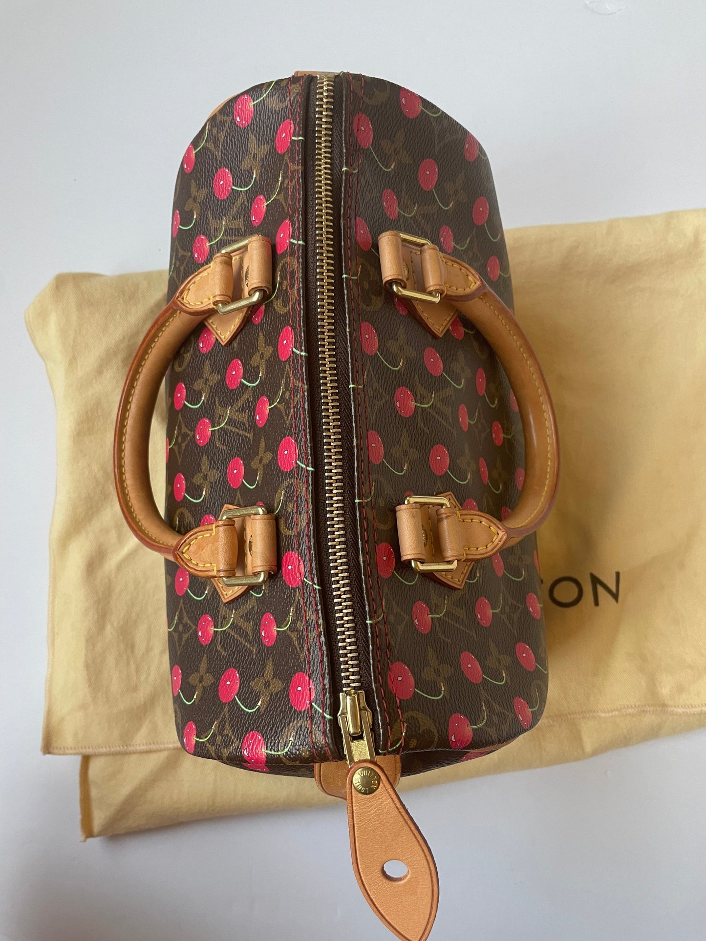 HandBag Luxury Designer Louis Vuitton, Size Small