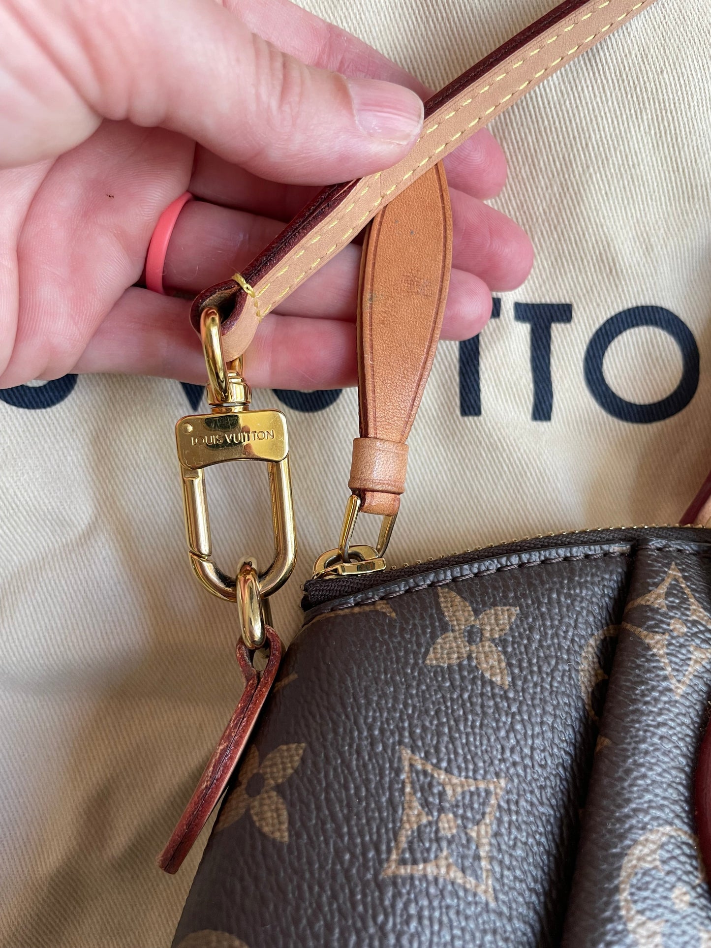 HandBag Luxury Designer Louis Vuitton