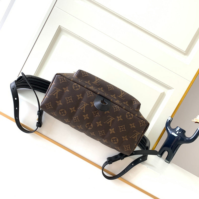 Alice bags - Louis Vuittons  - 15356