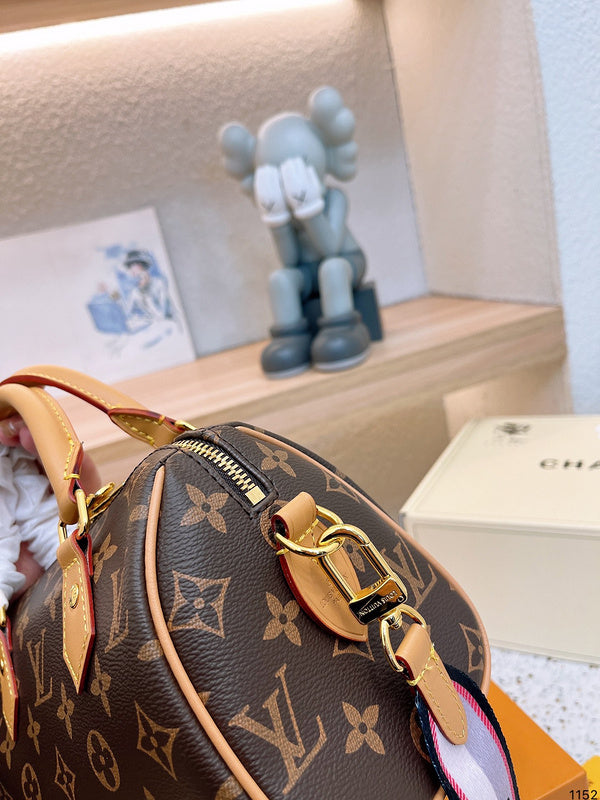 Alice bags - Louis Vuittons  - 15143