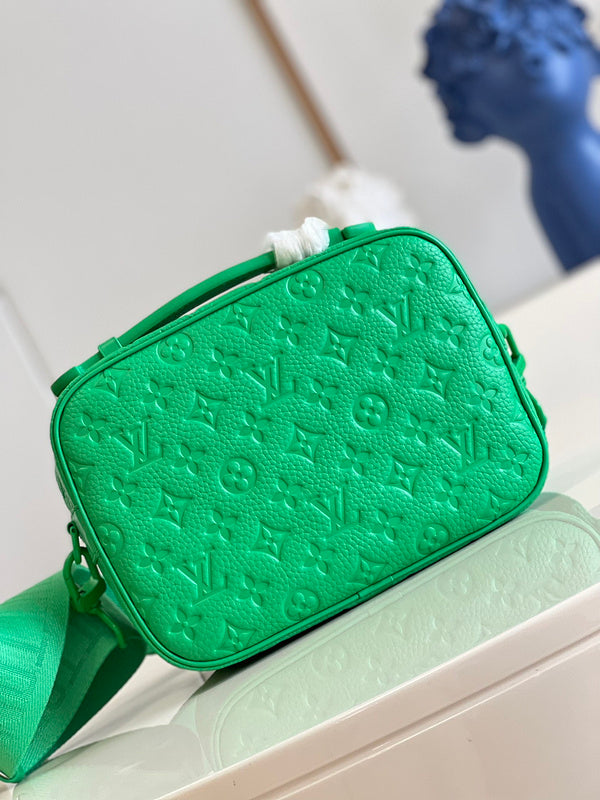 Alice Bags- Louis Vuittons  - 16416