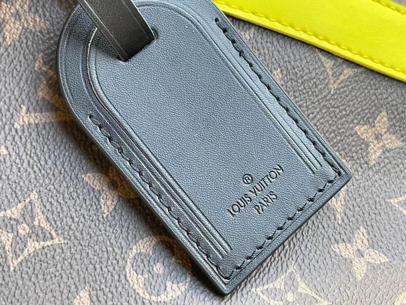 Alice Bags- Louis Vuittons  - 16236
