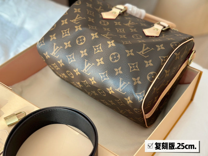Alice bags - Louis Vuittons  - 14933