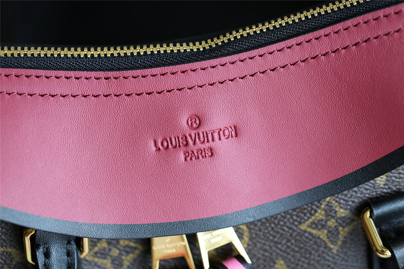 Alice bags - Louis Vuittons  - 7965