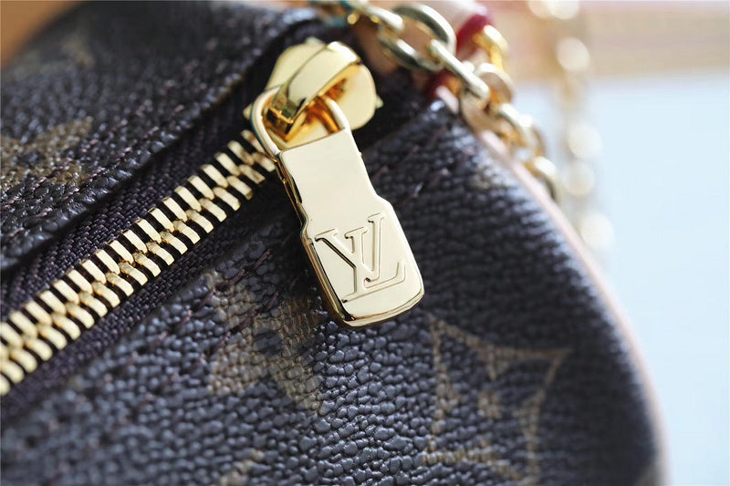 Alice bags - Louis Vuittons  - 7975