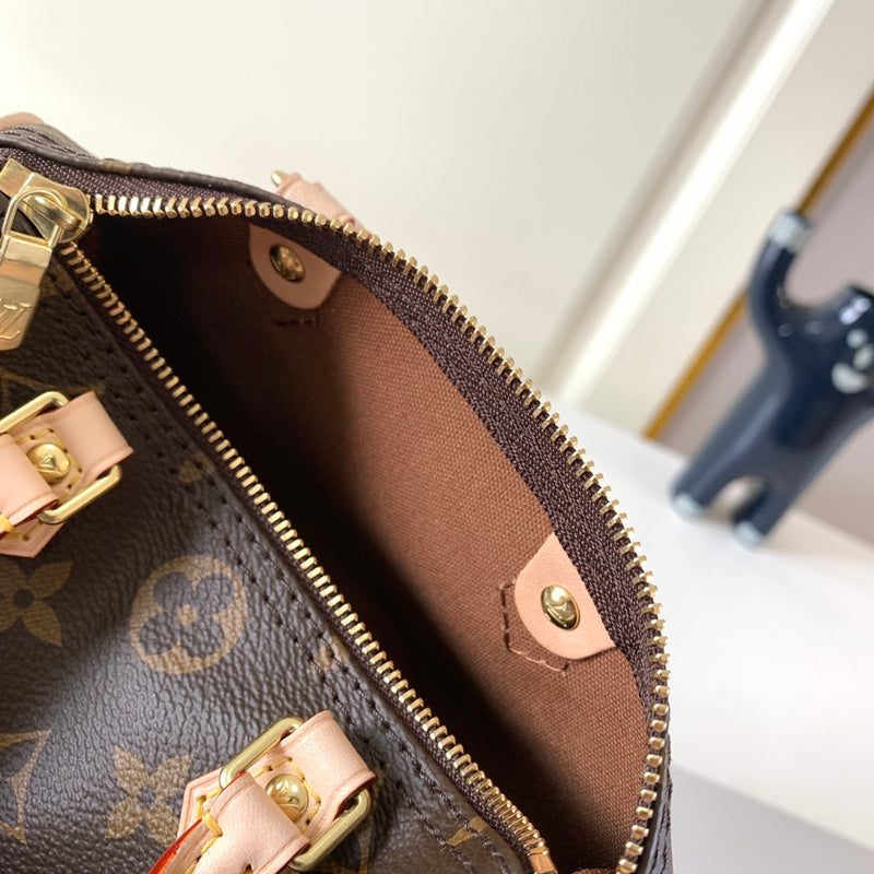 Alice Bags- Louis Vuittons  - 16247