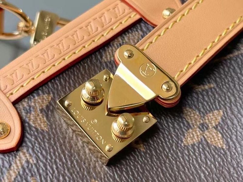 Alice  Bags- Louis Vuittons  - 15932