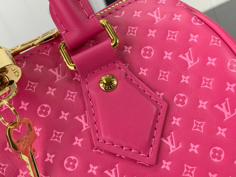 Alice bags - Louis Vuittons  - 15635