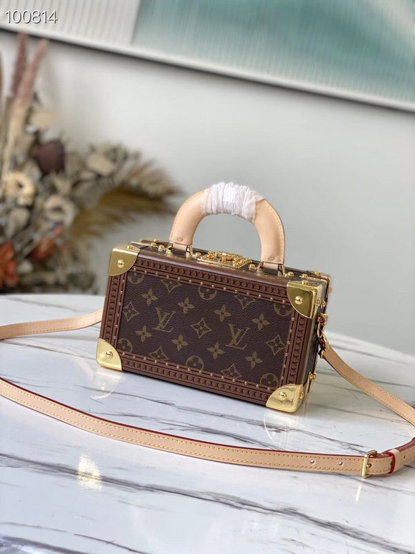 Alice Bags- Louis Vuittons  - 16511