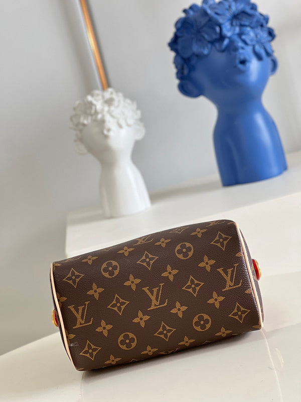 Alice Bags- Louis Vuittons  - 16471