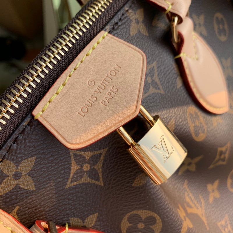 Alice Bags- Louis Vuittons  - 16599