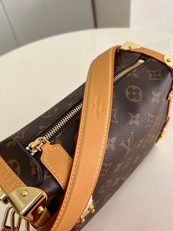 Alice Bags- Louis Vuittons  - 16108