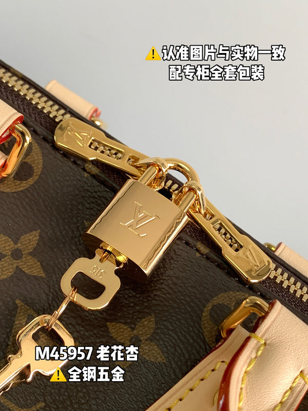 Alice Bags- Louis Vuittons  - 16455
