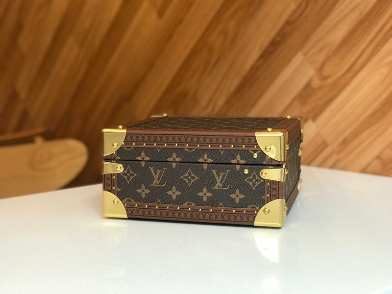 Alice Bags- Louis Vuittons  - 16209