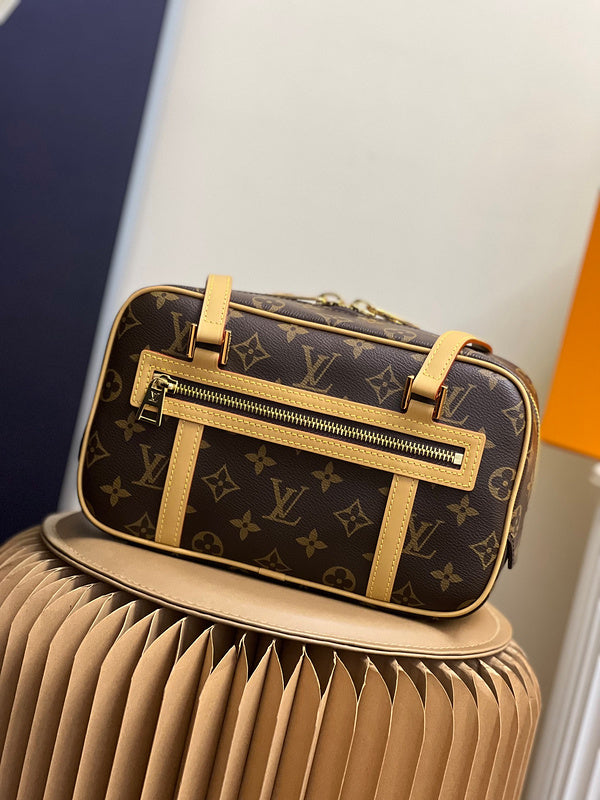 Alice Bags- Louis Vuittons  - 16143