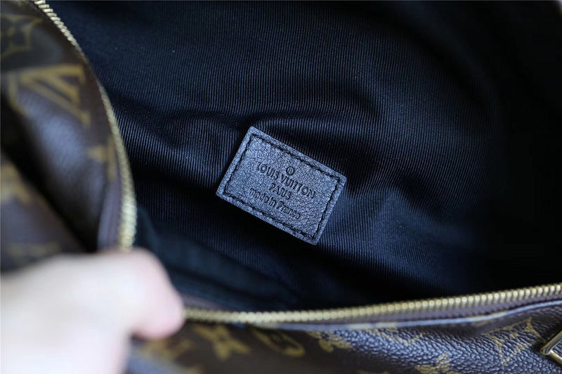 Alice bags - Louis Vuittons  - 10365