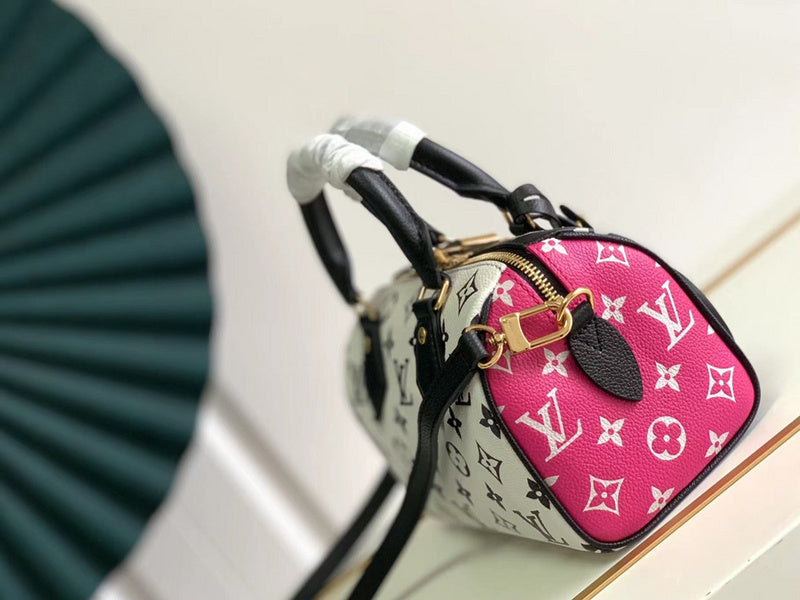 Alice bags- Louis Vuittons  - 16774