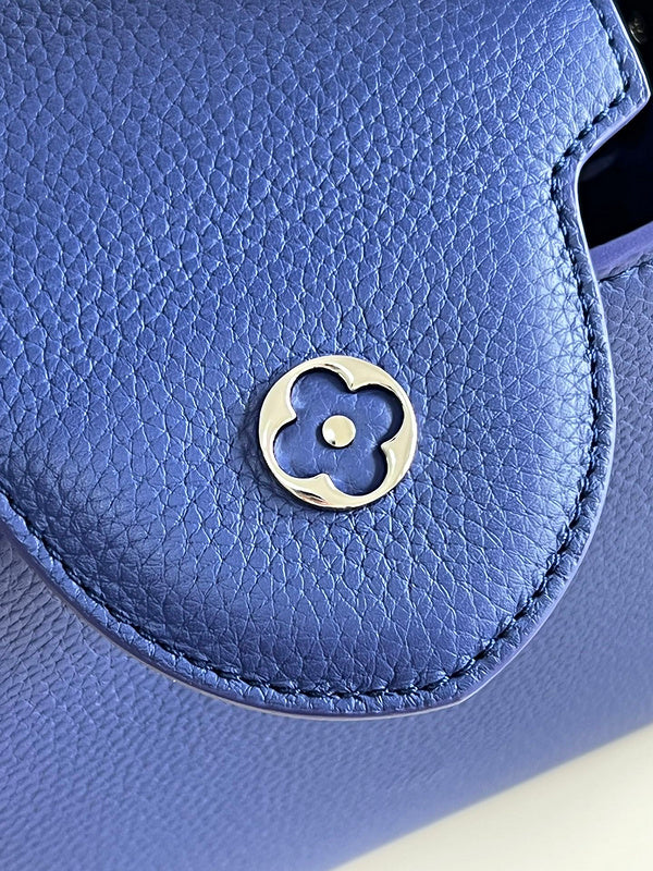 Alice Bags- Louis Vuittons  - 16598