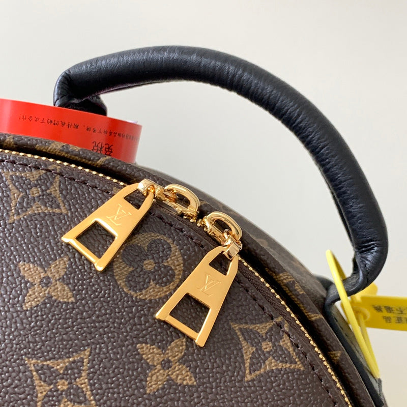 Alice bags - Louis Vuittons  - 15356