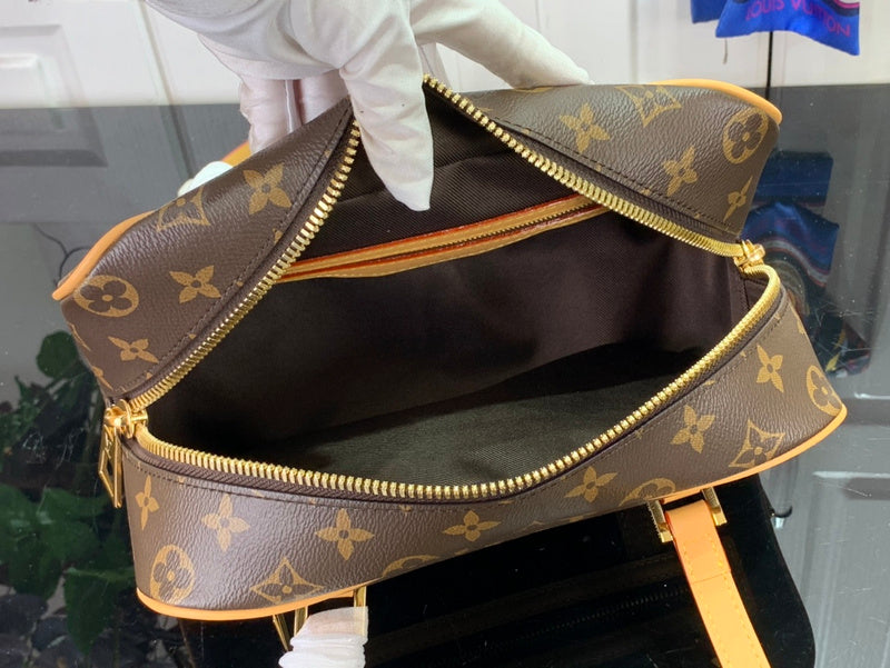 Alice Bags- Louis Vuittons  - 16373