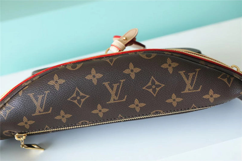 Alice bags - Louis Vuittons  - 9896