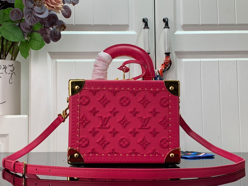 Alice Bags- Louis Vuittons  - 16572